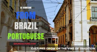 Is Brazilian Portuguese Different? Exploring Language Variations in Brazil