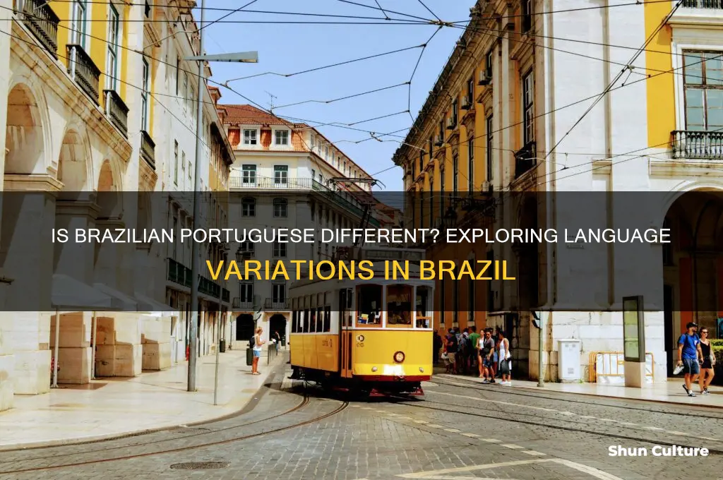 is someone from brazil portuguese