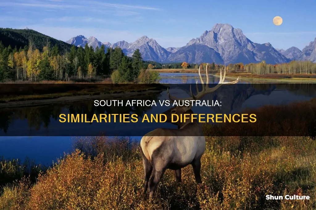 is south africa like australia