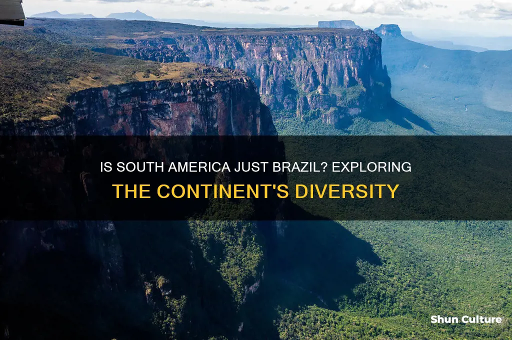 is south america brazil