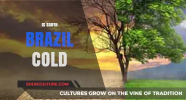 Is South Brazil Cold? Exploring the Climate of Southern Brazil