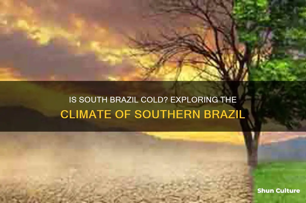 is south brazil cold
