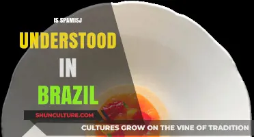 Understanding Spam in Brazil: Cultural Perception and Legal Implications