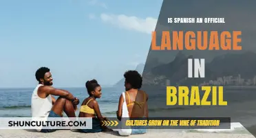 Is Spanish an Official Language in Brazil? Unraveling the Myth
