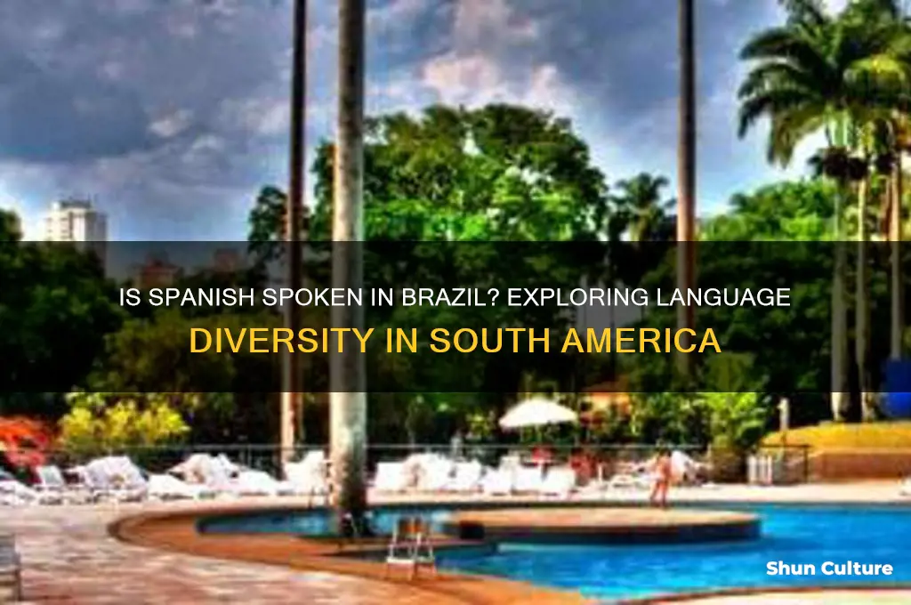 is spanish spoken anywhere in brazil