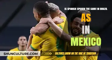 Spanish in Brazil vs. Mexico: Language Differences Explained