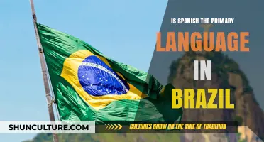 Is Spanish Brazil's Main Language? Unraveling a Common Misconception