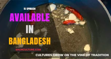 Exploring Spinach Availability and Local Alternatives in Bangladesh