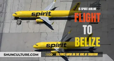 Spirit Airlines: Your Gateway to Belize's Tropical Paradise