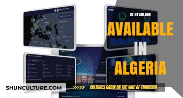Is Starlink Available in Algeria? Exploring Satellite Internet Options