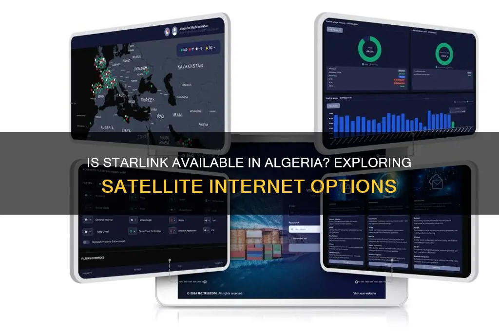 is starlink available in algeria
