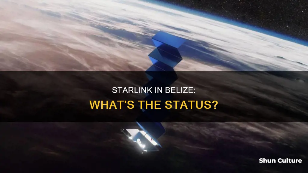 is starlink available in belize