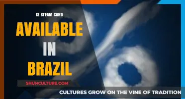 Steam Cards in Brazil: Availability and Purchase Options Explained