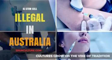 Stem Cell Legality in Australia: What's the Verdict?
