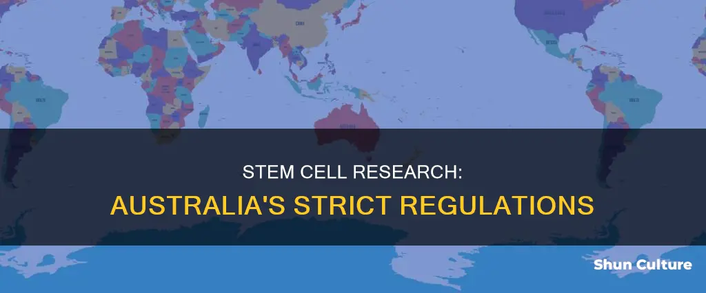 is stem cell research banned in australia