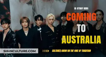 Stray Kids' Australian Tour: What We Know So Far