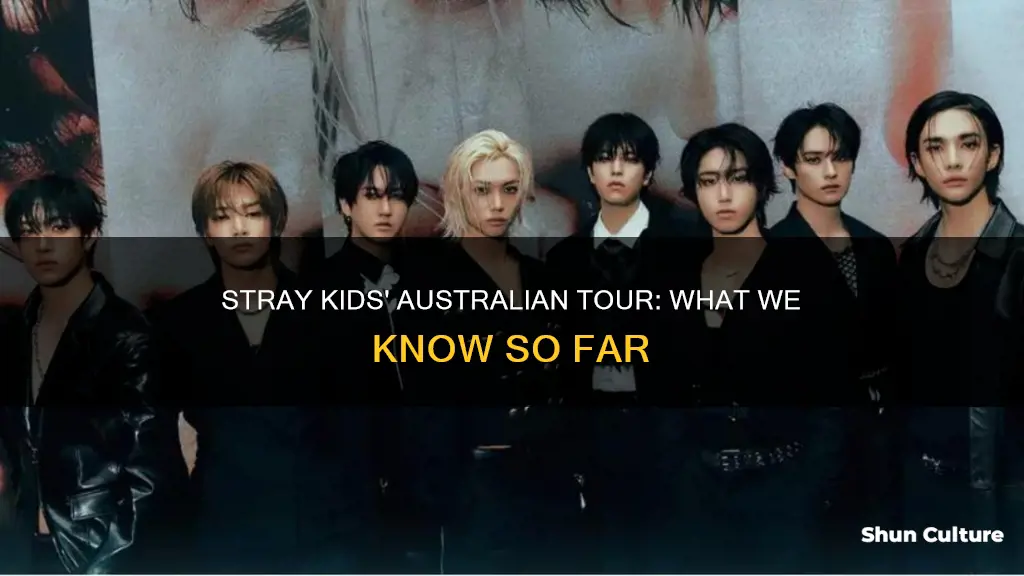 is stray kids coming to australia