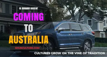 Subaru Ascent: Coming to Australia?
