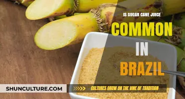 Sugar Cane Juice in Brazil: A Popular Tradition or Rare Treat?