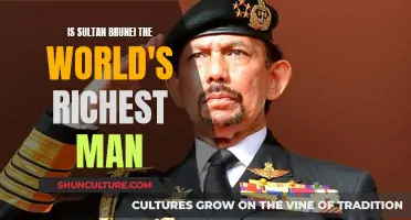 Wealthiest Man: Sultan of Brunei?