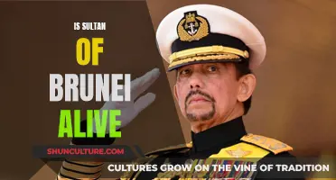 Sultan of Brunei: Is the Monarch Still Alive?