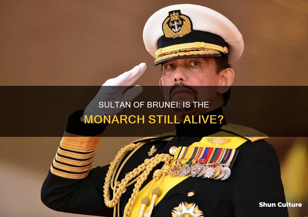 is sultan of brunei alive