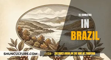 Is Sumatra in Brazil? Unraveling the Geographic Confusion