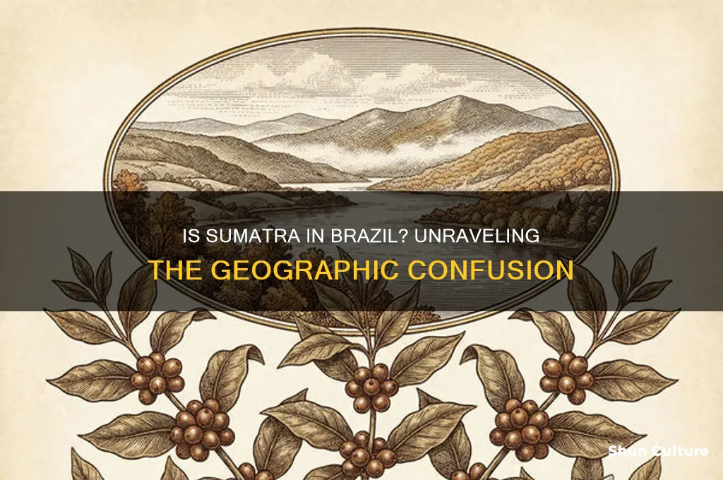is sumatra in brazil