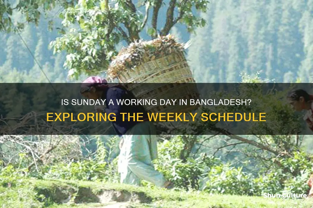 is sunday a working day in bangladesh