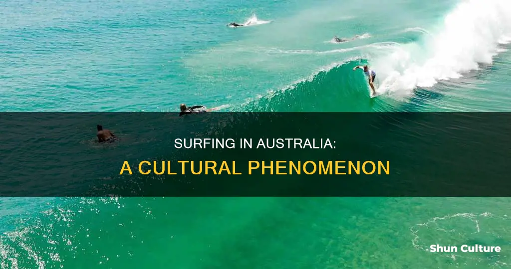 is surfing popular in australia