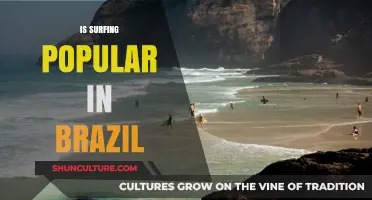 Riding the Waves: Exploring Brazil's Thriving Surfing Culture and Popularity