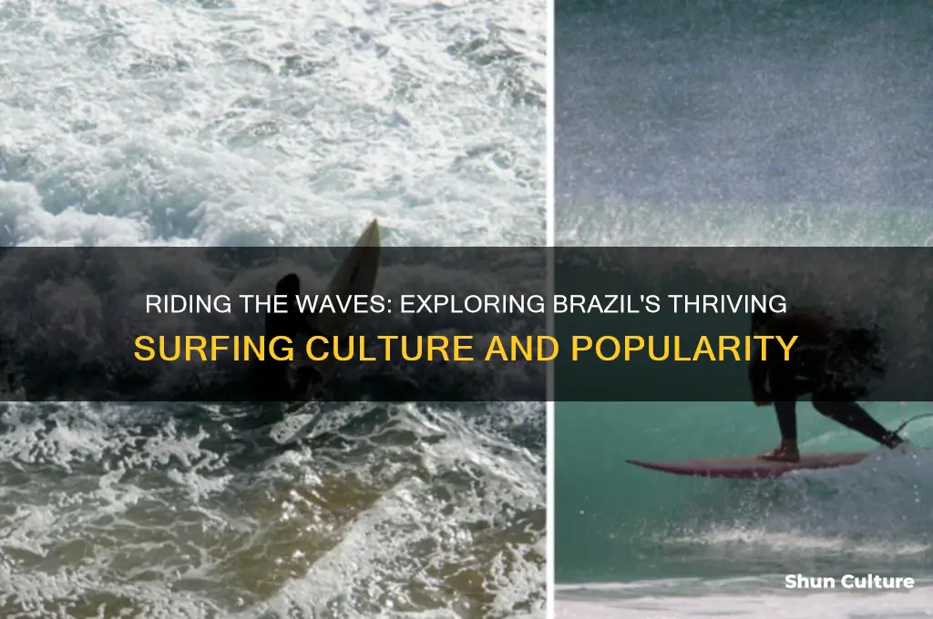 is surfing popular in brazil