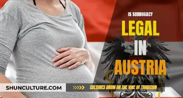 Surrogacy in Austria: What's the Legal Status?