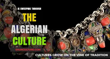 Sweeping Changes: How Modern Trends Are Reshaping Algerian Culture