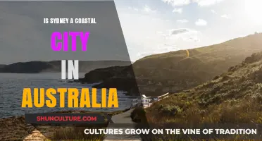 Is Sydney a Coastal City? Exploring Australia's Iconic Harbor Location