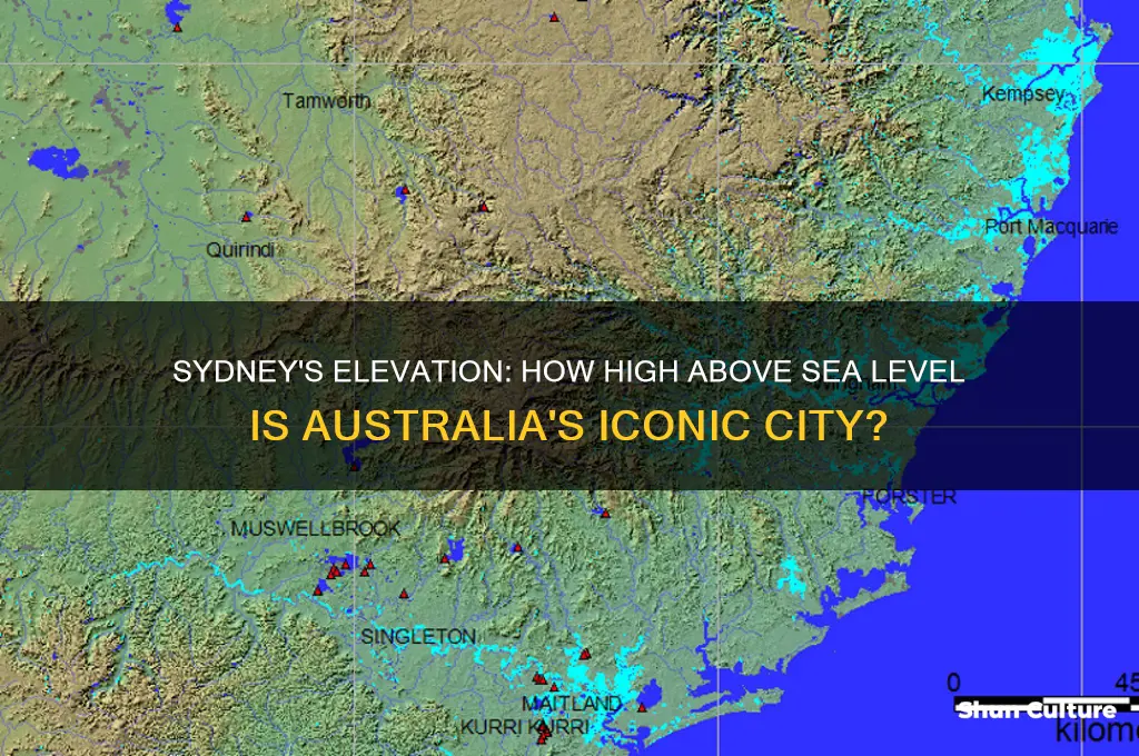 is sydney australia above sea level