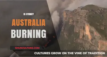 Sydney Ablaze: Unraveling the Truth Behind Australia's Fiery Headlines