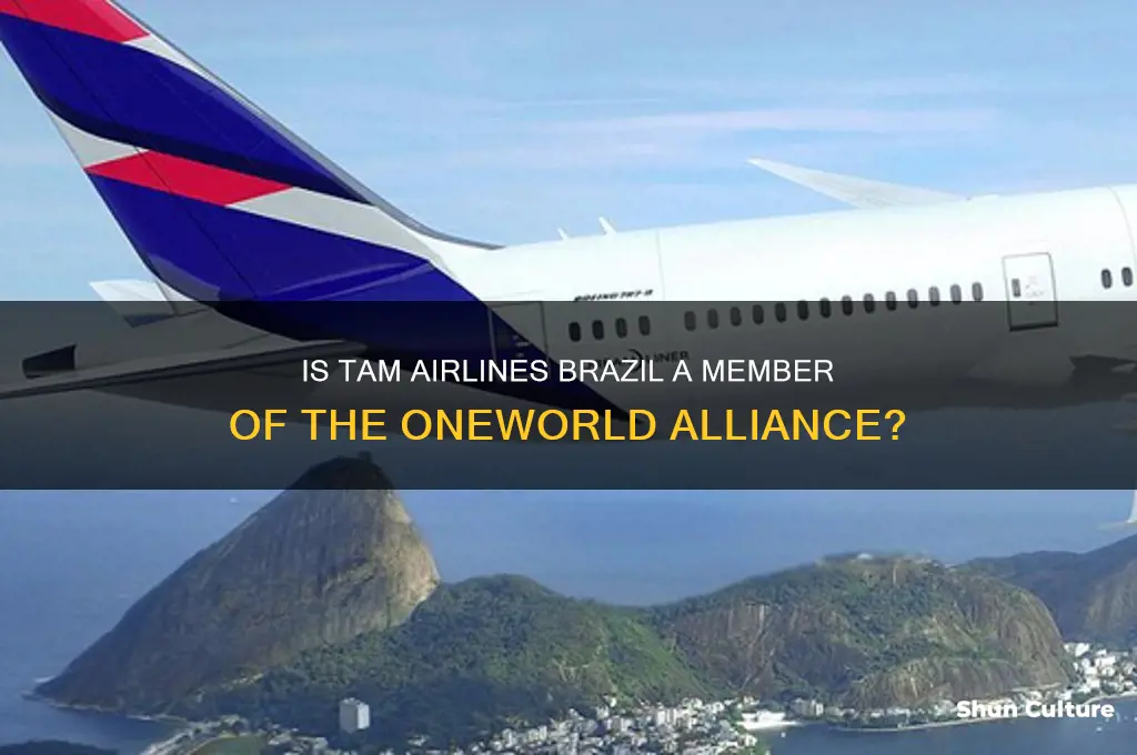 is tam airlines brazil part of oneworld alliance