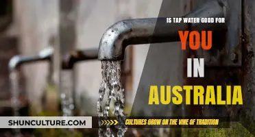 Australian Tap Water: Safe and Healthy?