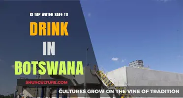 Is Botswana's Tap Water Safe? A Comprehensive Drinking Water Guide