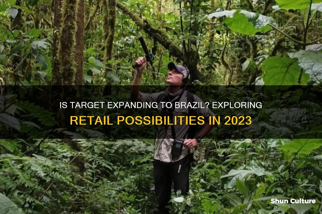 is target in brazil