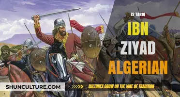 Tariq ibn Ziyad's Origins: Algerian or Not? Unraveling the Mystery