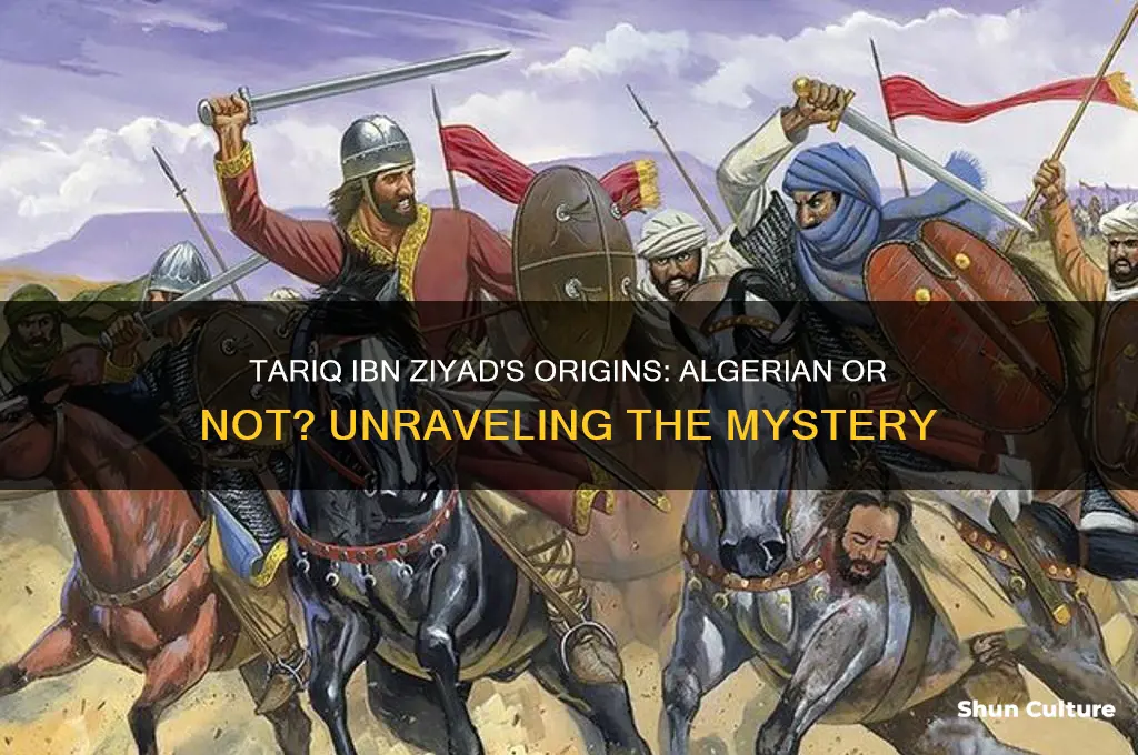 is tariq ibn ziyad algerian