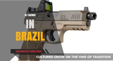 Exploring Taurus' Presence and Impact in Brazil's Market and Culture