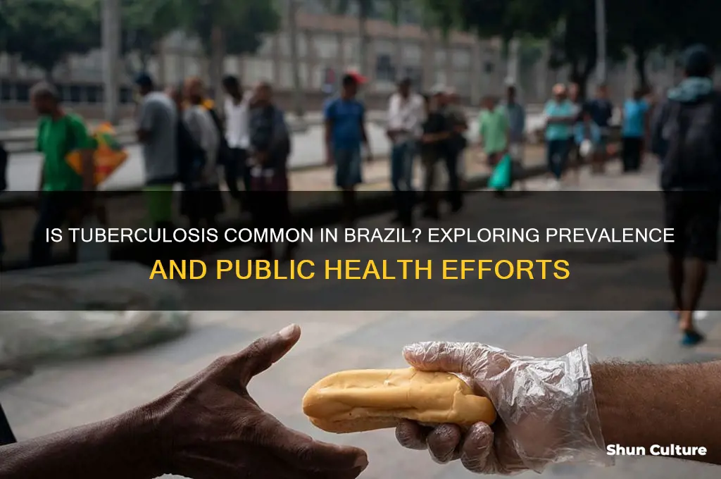 is tb common in brazil