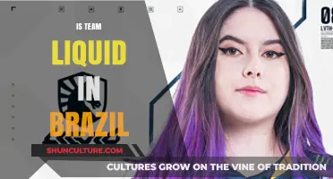 Is Team Liquid in Brazil? Exploring Their Presence and Impact