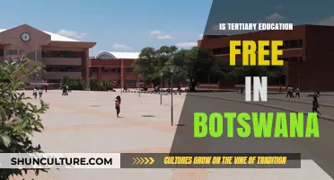 Is Tertiary Education in Botswana Truly Free? Exploring the Facts