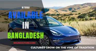 Is Tesla in Bangladesh? Availability and Future Prospects Explored