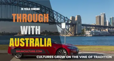 Tesla's Australian Ambitions: What's the Plan?