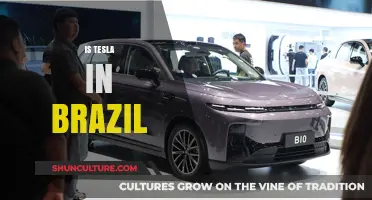 Is Tesla Coming to Brazil? Exploring the Possibilities and Challenges